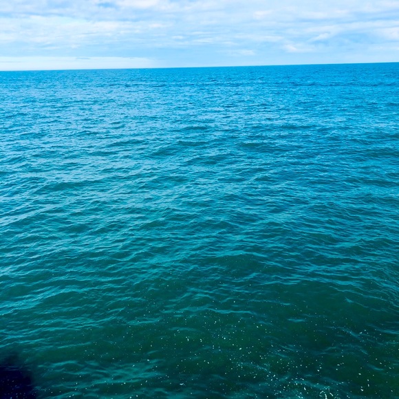 Meet your Posher, Sabrina - Picture 1 of 8